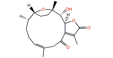 Pachyclavulariolide P
